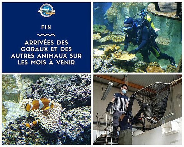 Ga Saint Malo Grand Aquarium De Saint Malo