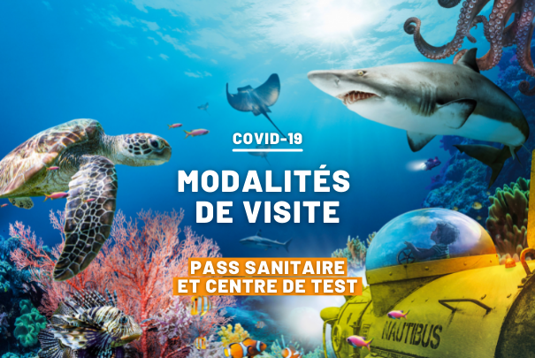 Ga Saint Malo Grand Aquarium De Saint Malo