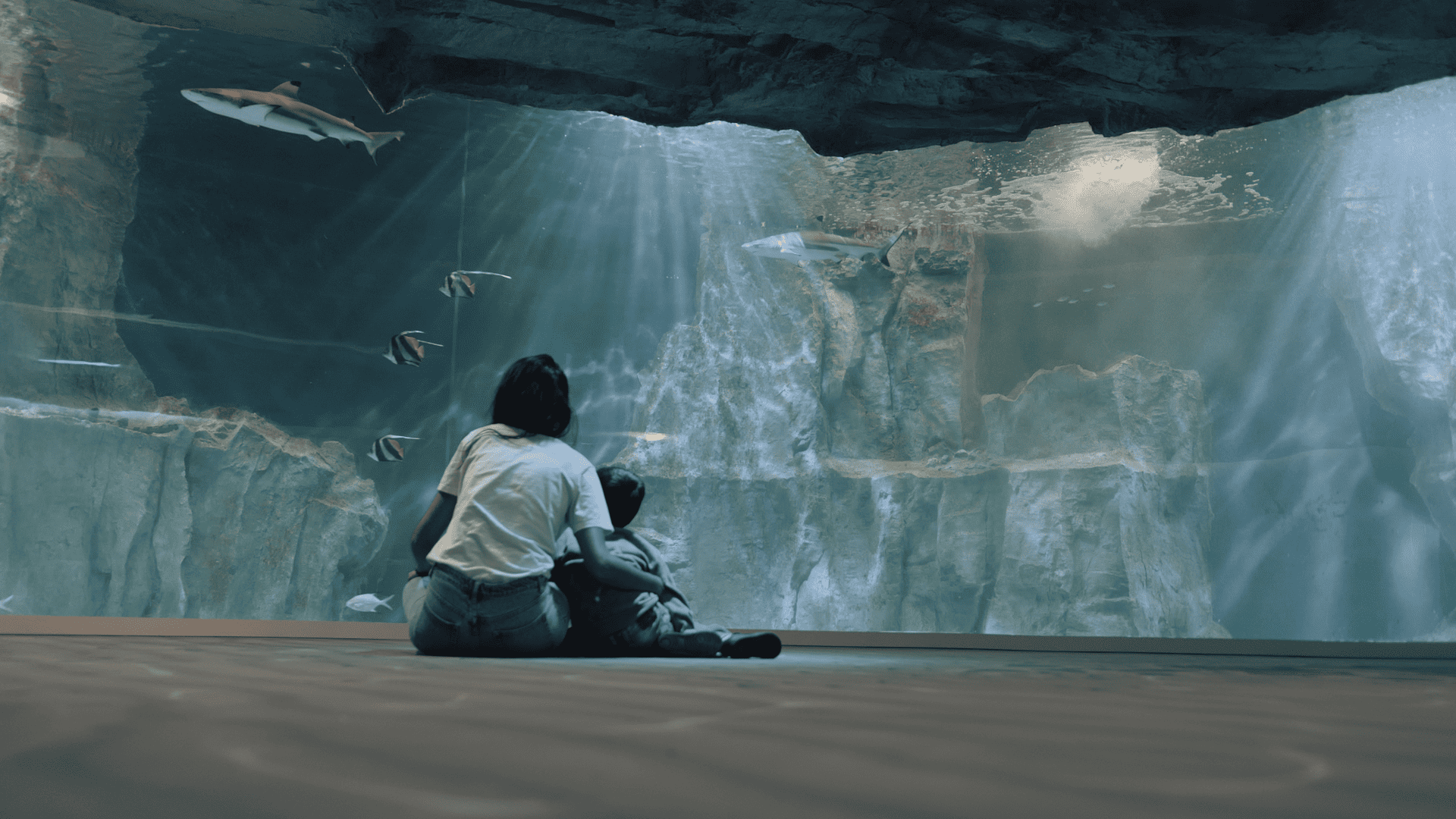 Grotte sous-marine